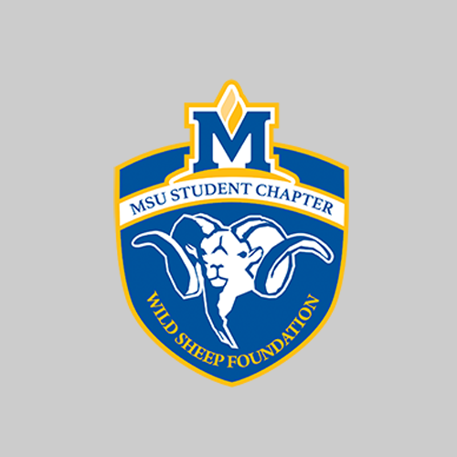 MSU WSF logo