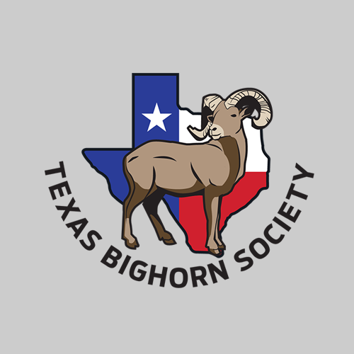 TBS logo