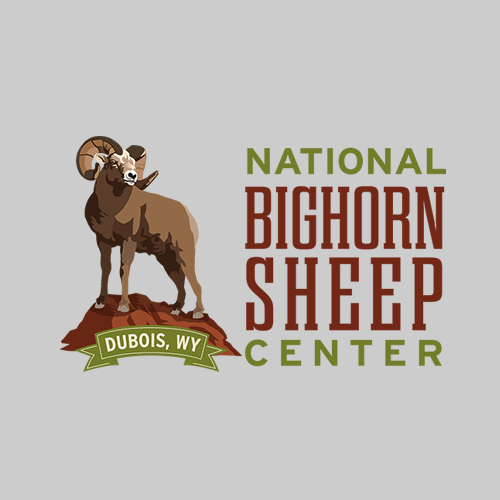 NBSF logo