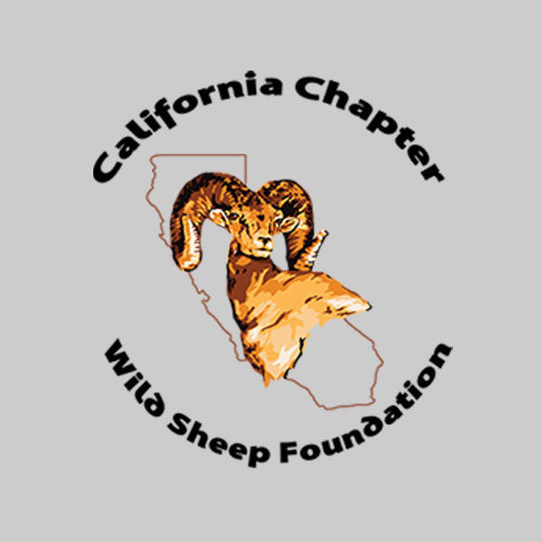 CA WSF logo