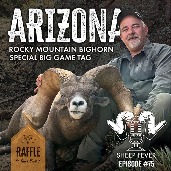 Arizona Rocky Mountain Bighorn Raffle Tag