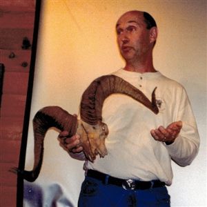 2011
