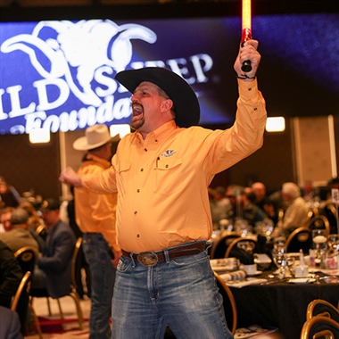 Evening Auctions