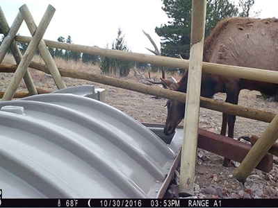 2026 WYwsf Guzzler1.jpg