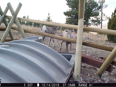 2026 WYwsf Guzzler2.jpg