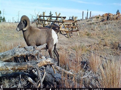 2026 WYwsf Guzzler3.jpg