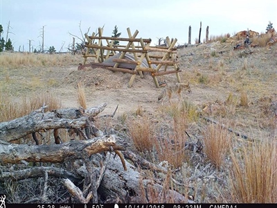 2026 WYwsf Guzzler4.jpg