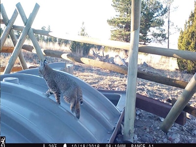 2026 WYwsf Guzzler5.jpg