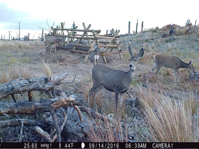 2026 WYwsf Guzzler6.jpg