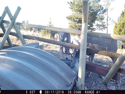 2026 WYwsf Guzzler7.jpg