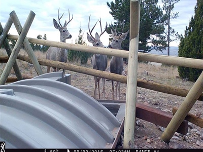 2026 WYwsf Guzzler8.jpg