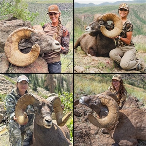 Big Rams, Hard Country, and the Women Who Earned Them