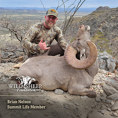 Brian Nelson - Summit Life Member