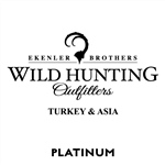 Wild Hunting Turkey Asia