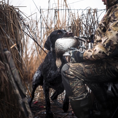 HUNTER IN FIELD