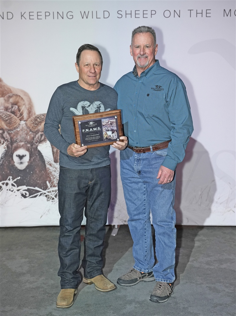 CHRIS GONFIANTINI   1