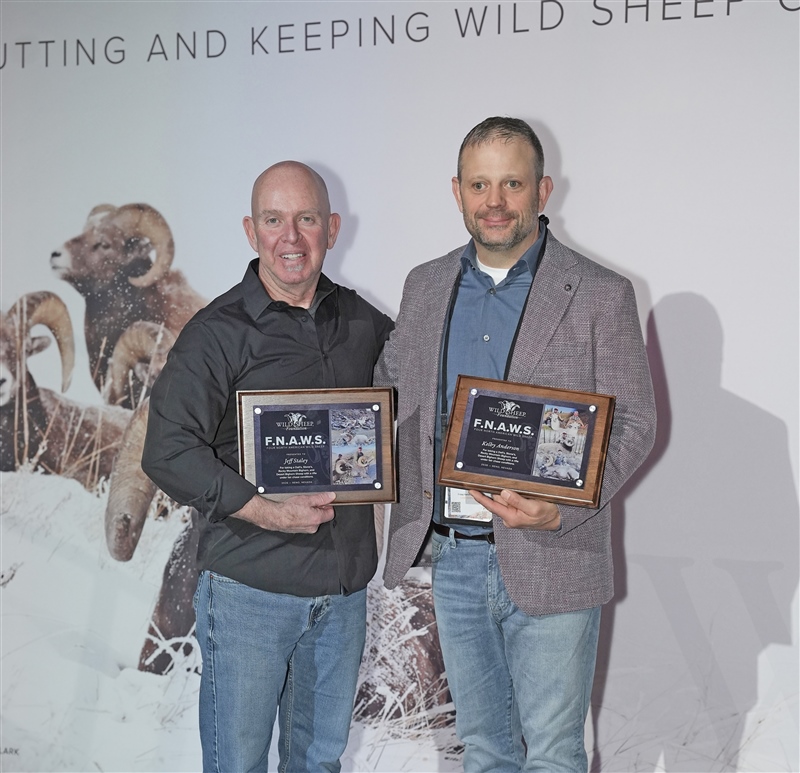 JEFF STALEY KELBY ANDERSON FNAWS