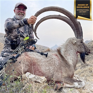 Allyn Ladd   Sindh Wild Goat