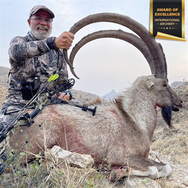 Allyn Ladd   Sindh Wild Goat