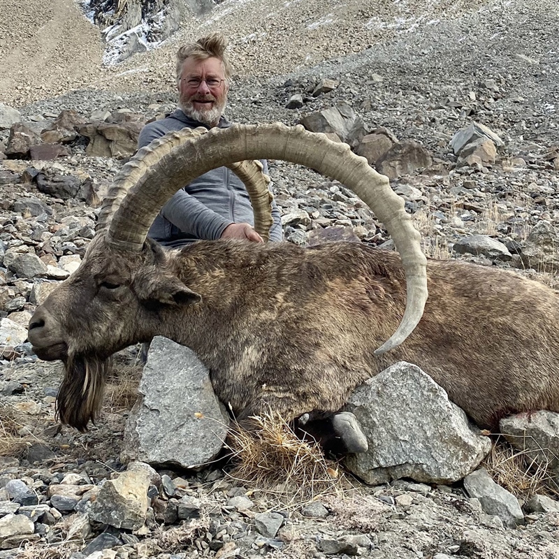 Daryll Hosker   Mid Asian Ibex