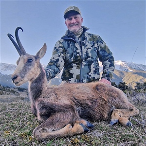 Jeff Morton   Pyrenean Chamois
