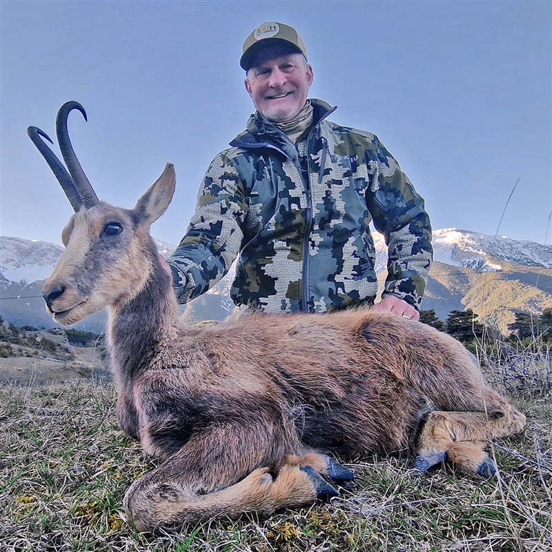 Jeff Morton   Pyrenean Chamois