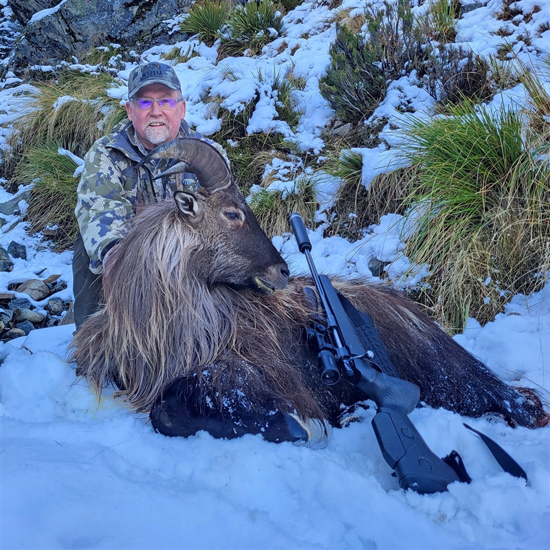 Jim McEnroe   Himalayan Tahr