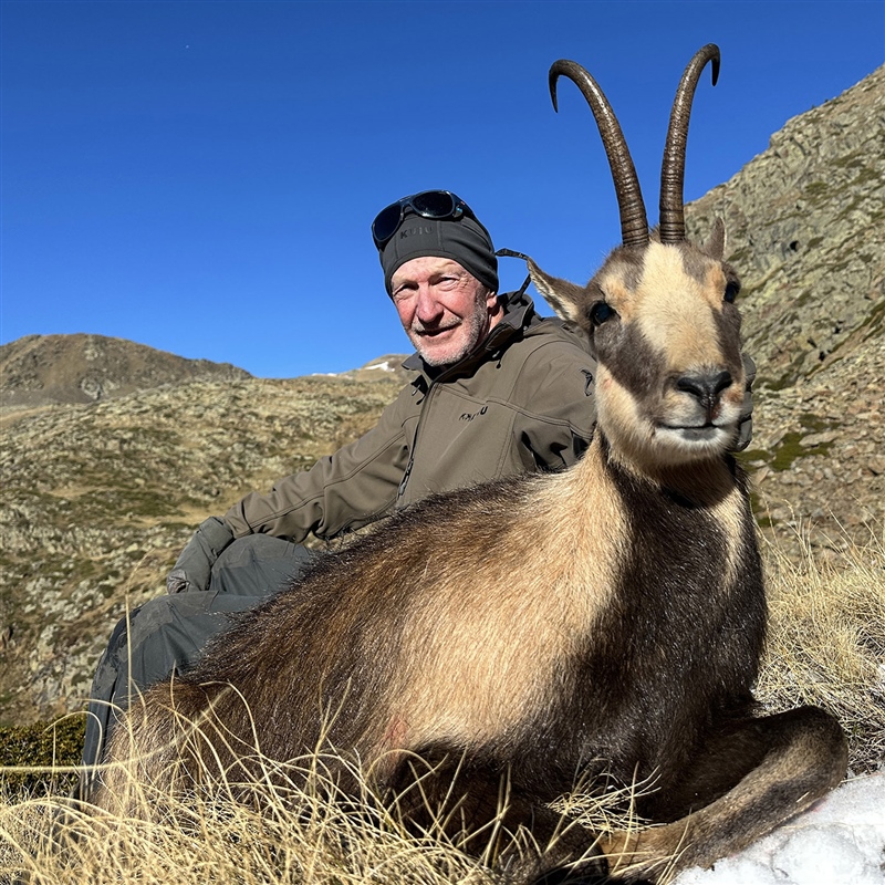 Kemp Copeland   Pyrnean Chamois