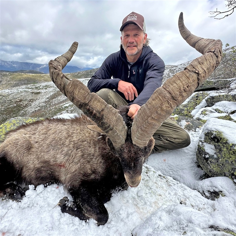 Marc Rue   Gredos Ibex