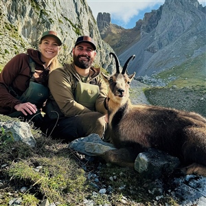 Marcus Gores   Pyrenean Chamois