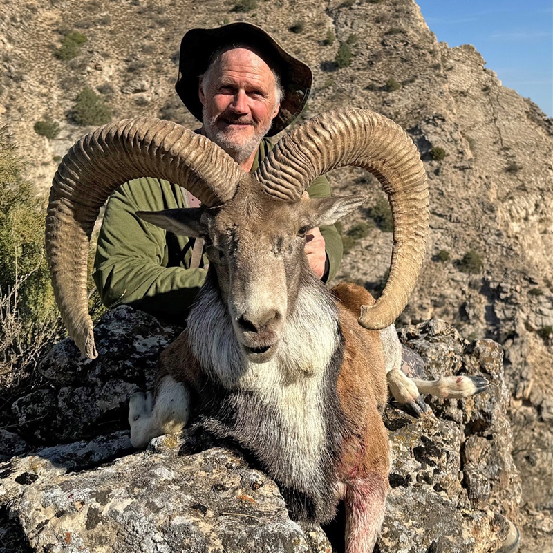 Mark Pickering   Bukhara Urial