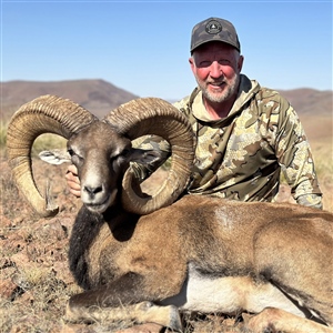 Tim Pask   Red Sheep