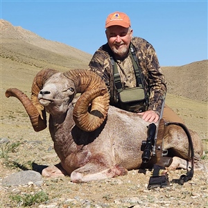 Zeev Nederman   Hangai Argali