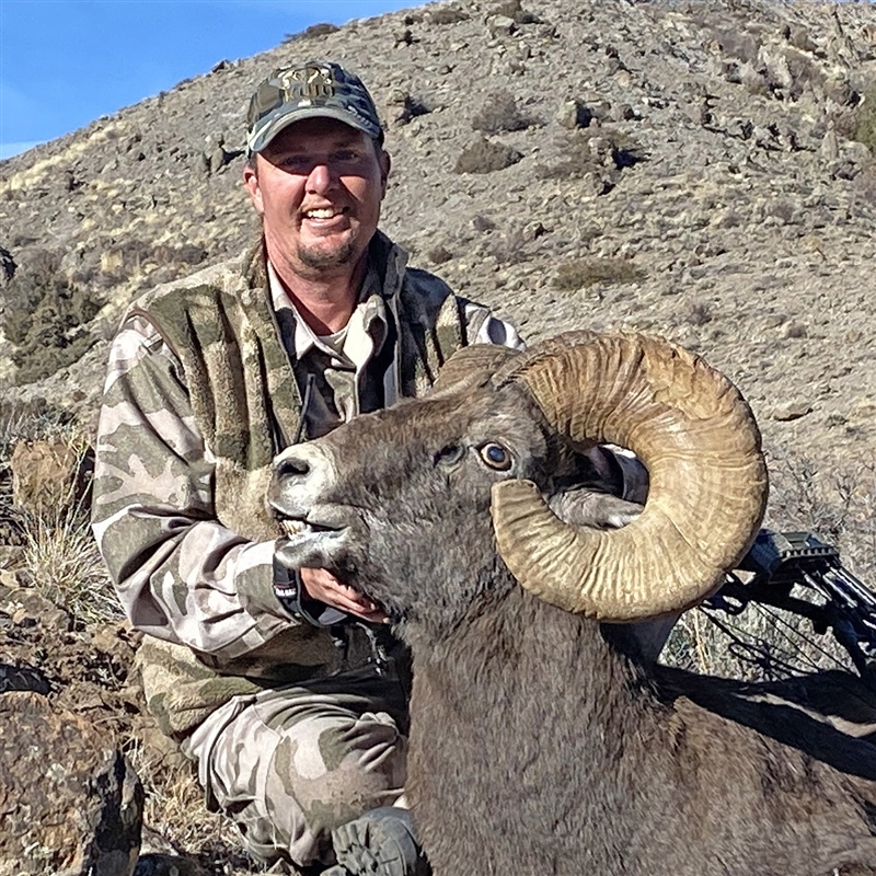 BJ Hockenberry – Bighorn
