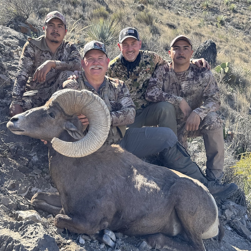 Charles Hartford – Desert Bighorn