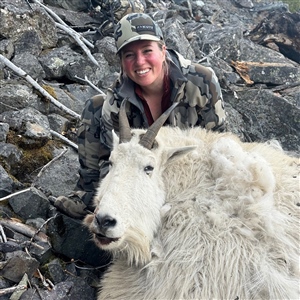 Corinne Boettcher – Rocky Mountain Goat