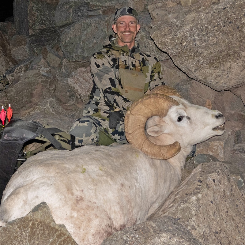 Craig VanArsdale – Dall's Sheep