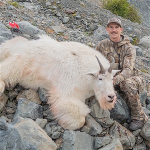 Craig Van Arsdale _ Rocky Mountain Goat