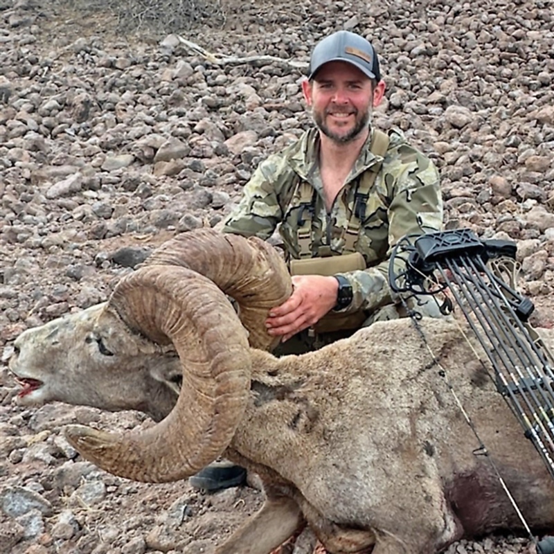 Dave Beeler – Desert Bighorn