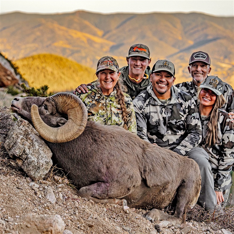 Ellen Smitheal – Bighorn Sheep