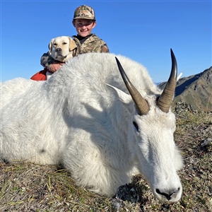 Jack Cail – Rocky Mountain Goat