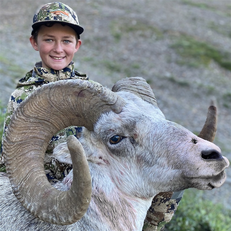 Jack Cail – Stone's Sheep