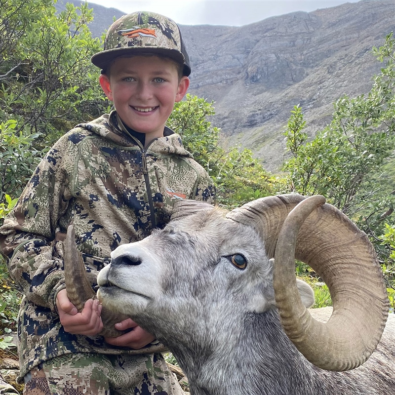 Jack Cail – Stone's Sheep