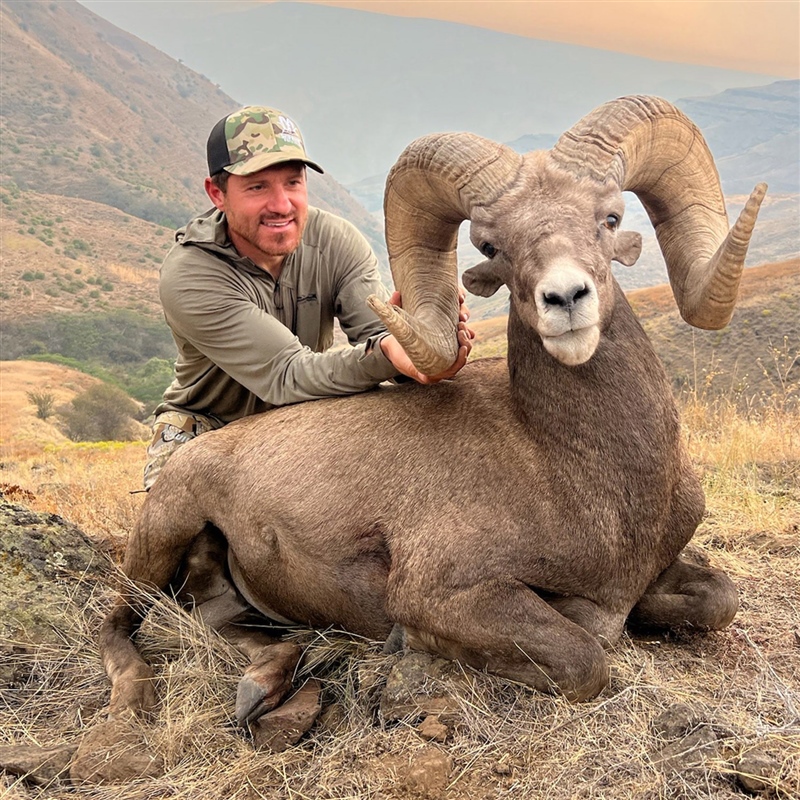 Jacob Jovanovich – Bighorn Sheep