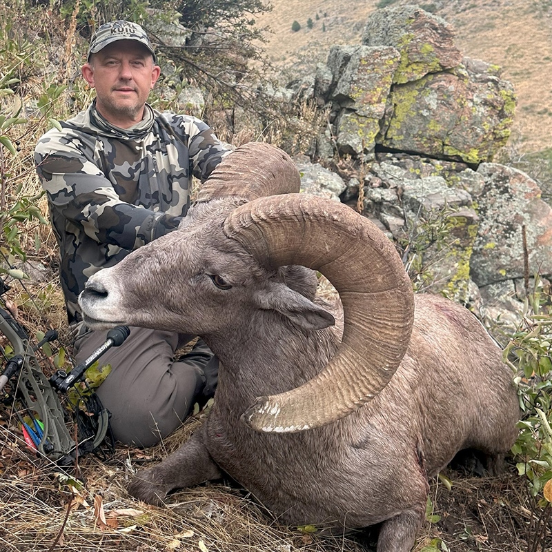 Jay Johnson – Bighorn Sheep