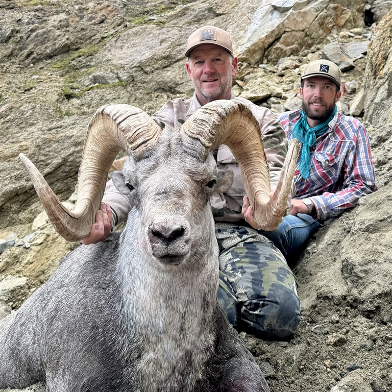 Jeff McNerney– Stone's Sheep