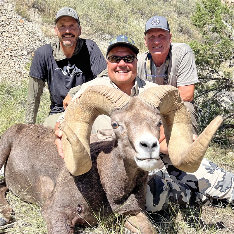Jimmy John Liautaud – Bighorn Sheep