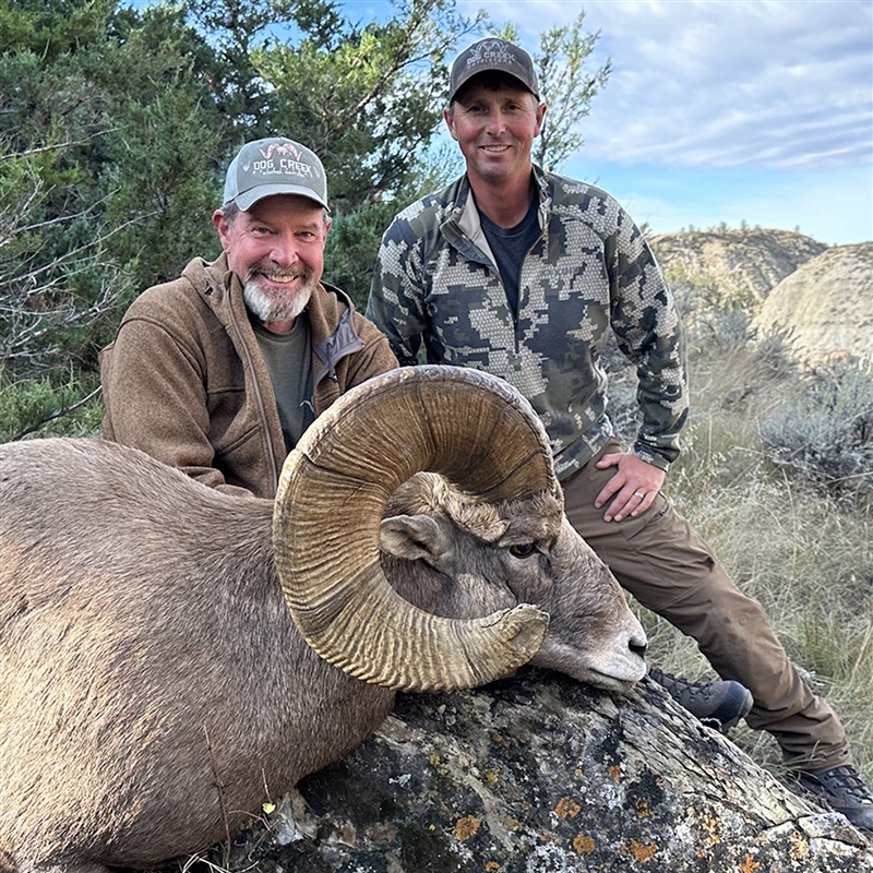 John Goggins – Bighorn Sheep
