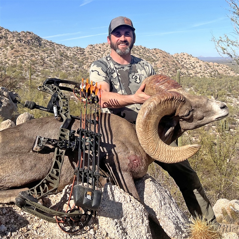 Jonah Stewart – Desert Bighorn