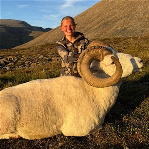 Keetin Daugherty – Dall's Sheep